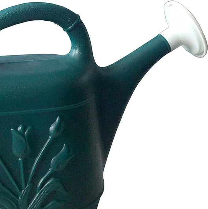 Floral - Patterned Gardening Watering Can: Combining Aesthetics and Practicality to Nurture Plant Growth