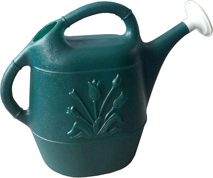 Floral - Patterned Gardening Watering Can: Combining Aesthetics and Practicality to Nurture Plant Growth