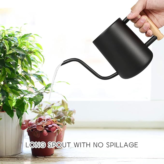 Minimalist Long - Spout Gardening Watering Can: Precise Water Control, Enhancing Plant Care