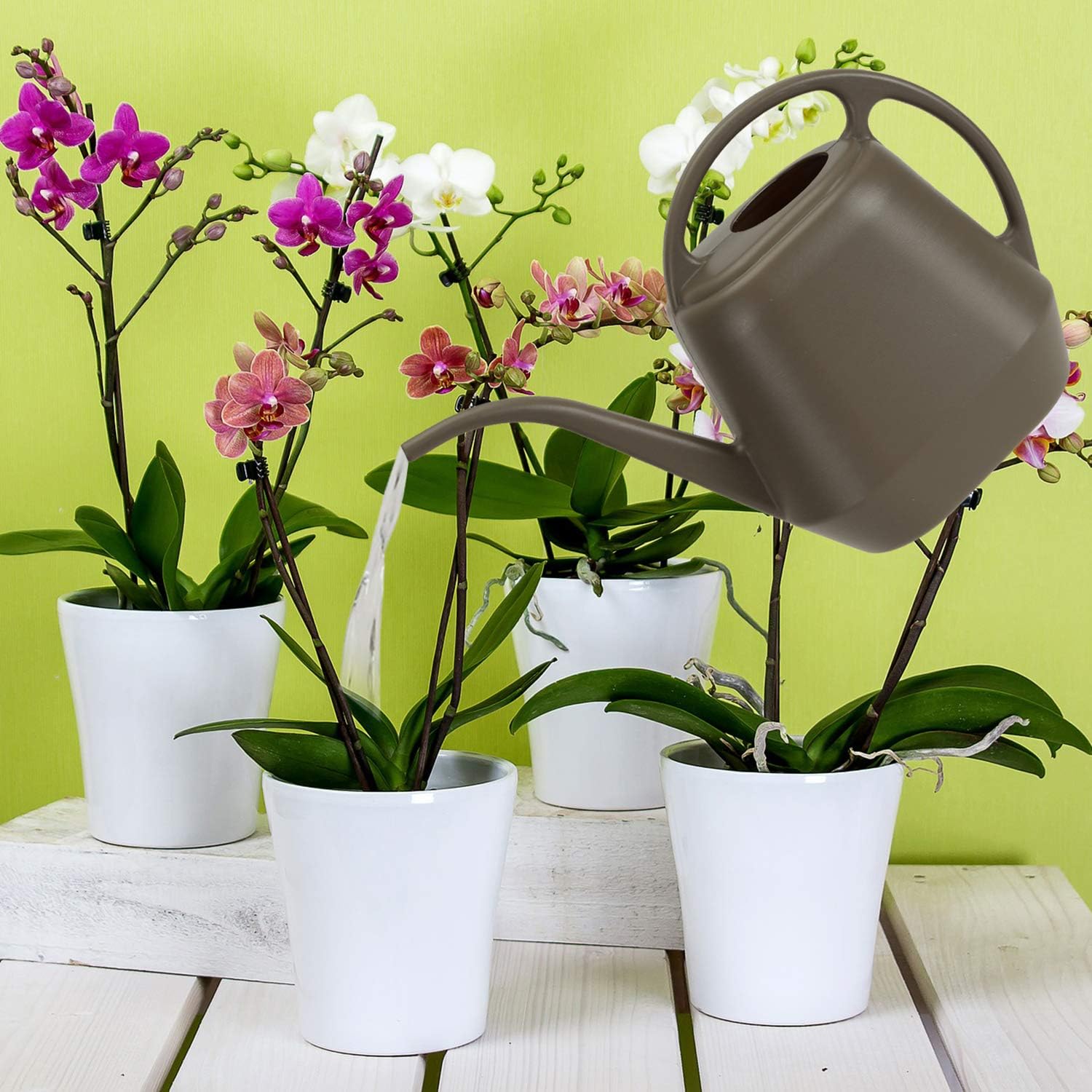 Vintage Brown Gardening Watering Can: Combining Practicality and Aesthetics to Care for Every Plant